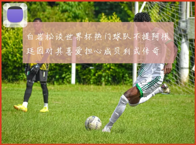 白岩松谈世界杯热门球队不提阿根廷因对其喜爱担心成贝利式传奇